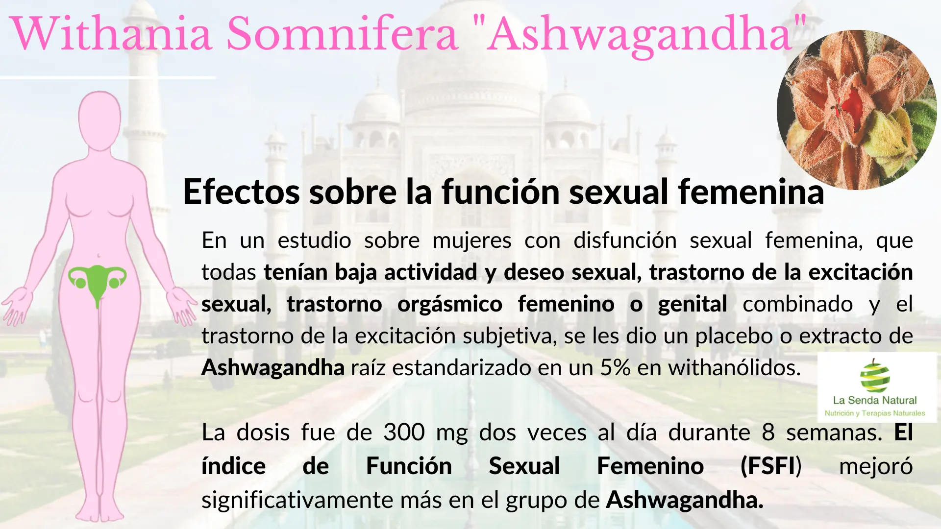 Ashwagandha y función sexual femenina