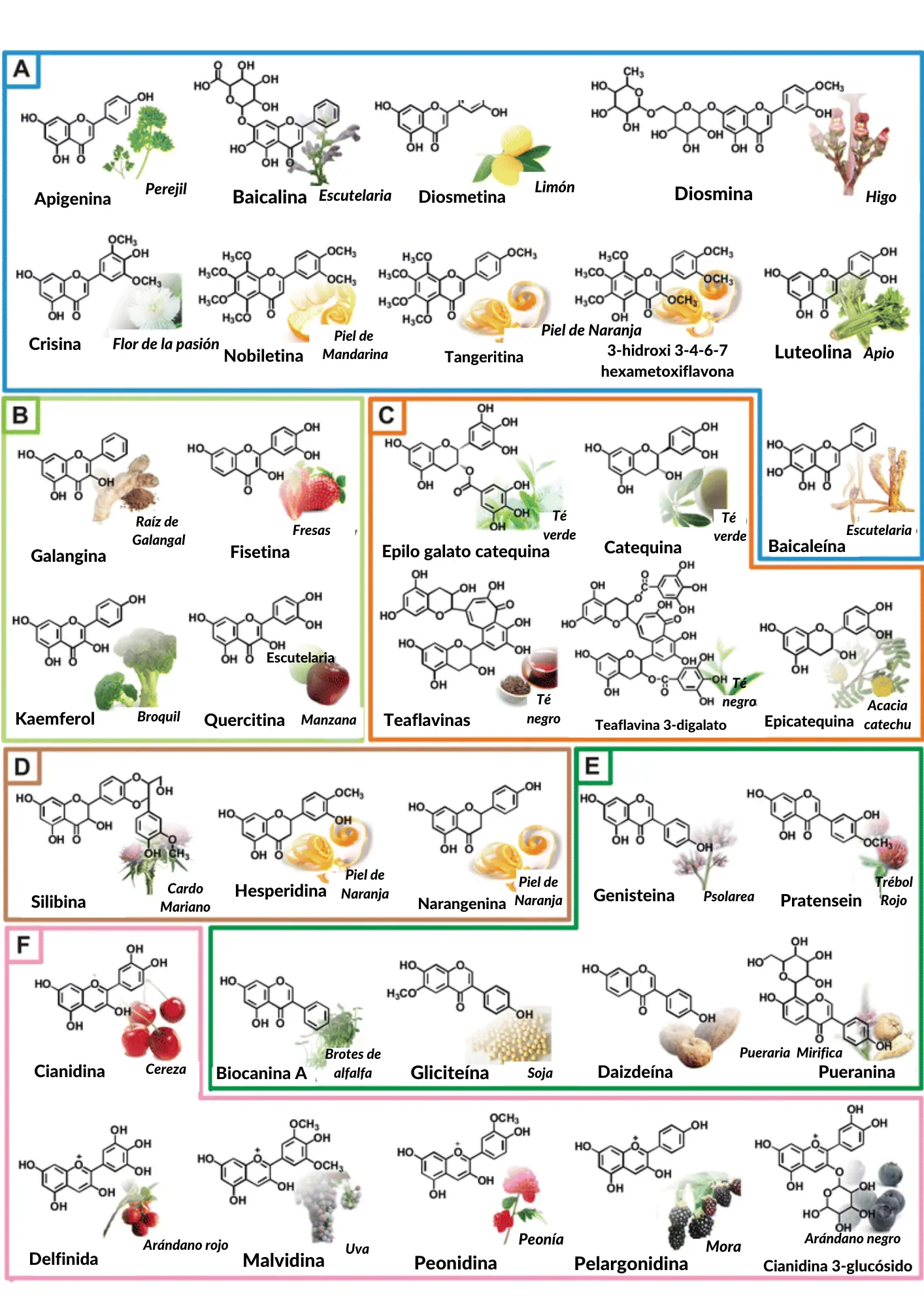 BIOFLAVONOIDES