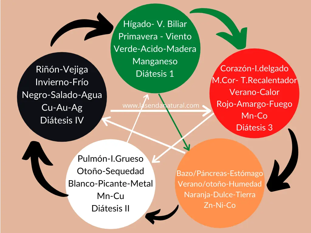 elemento madera