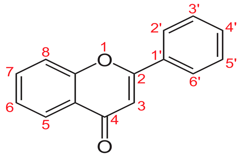 flavonoides