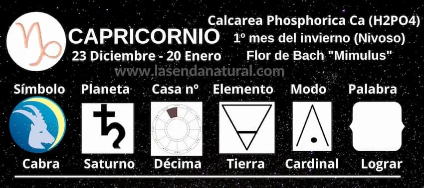 Capricornio