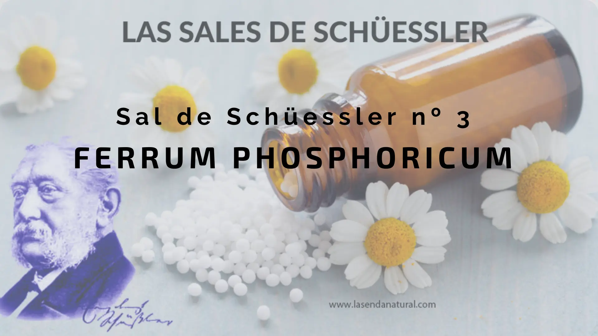 Sal nº 3 Ferrum Phosphoricum