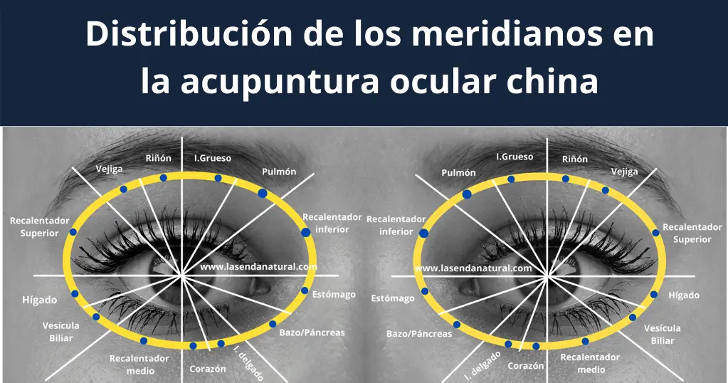 Acupuntura ocular china