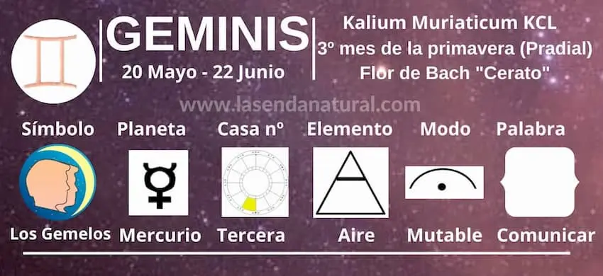 Geminis sales de schüessler