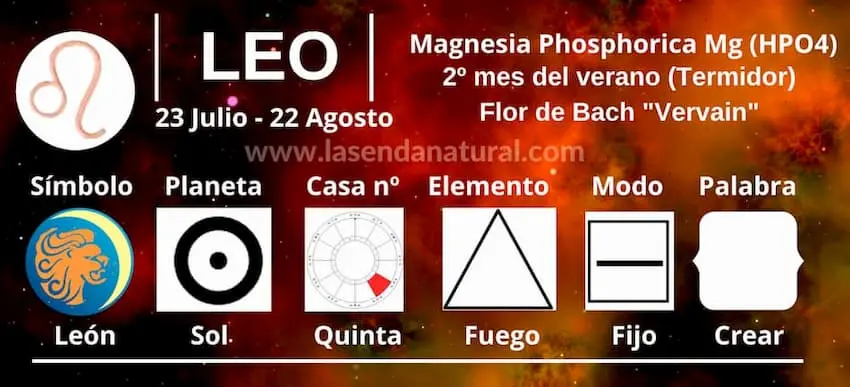 Magnesia phosphorica y Leo