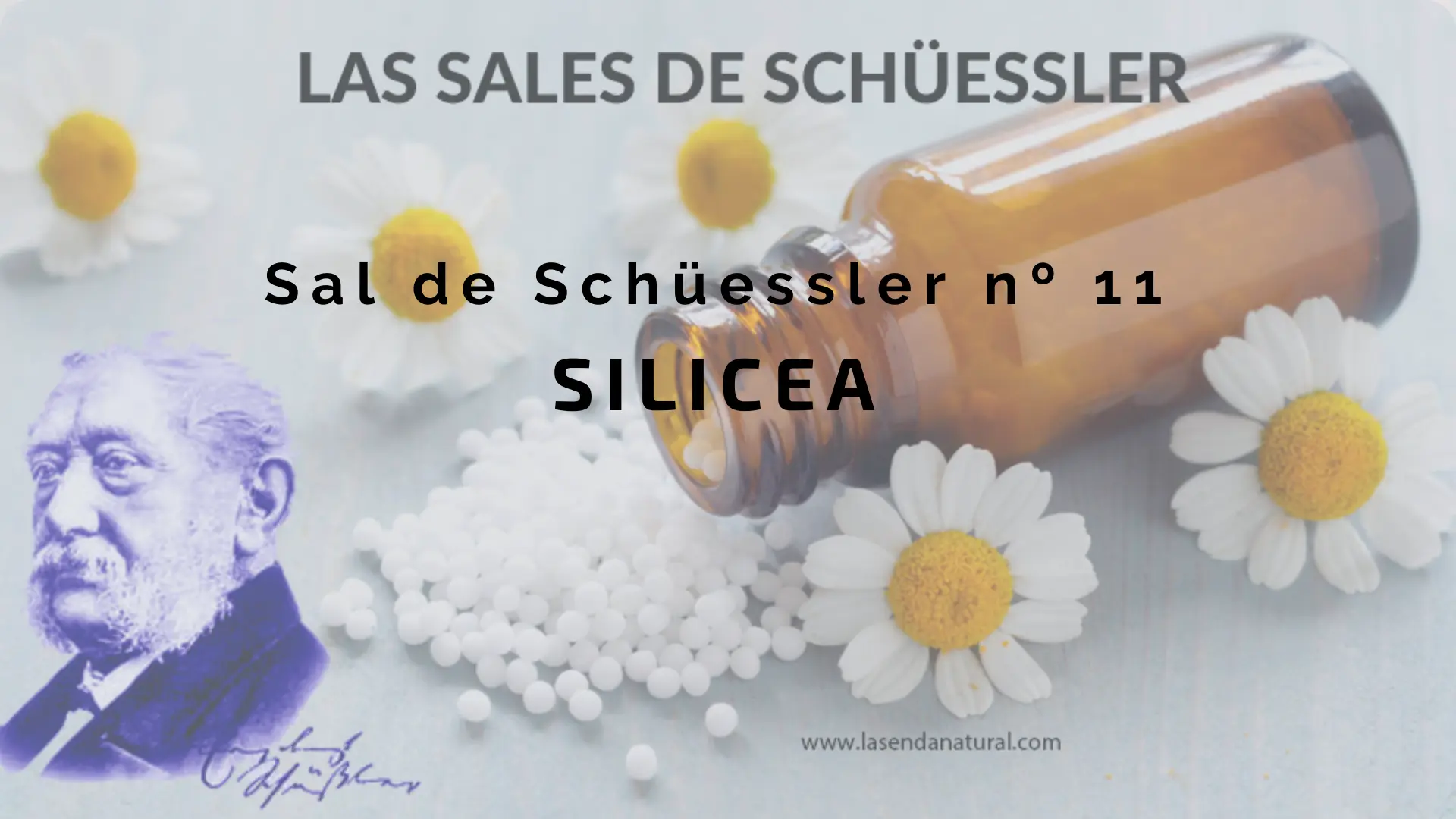 Sal nº 11 Silicea