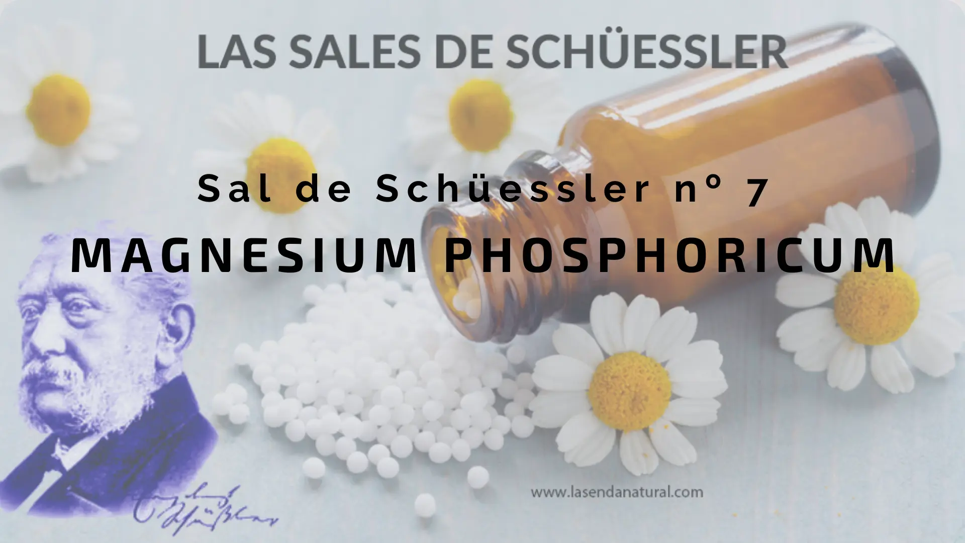 Sal nº 7 Magnesia phosphorica