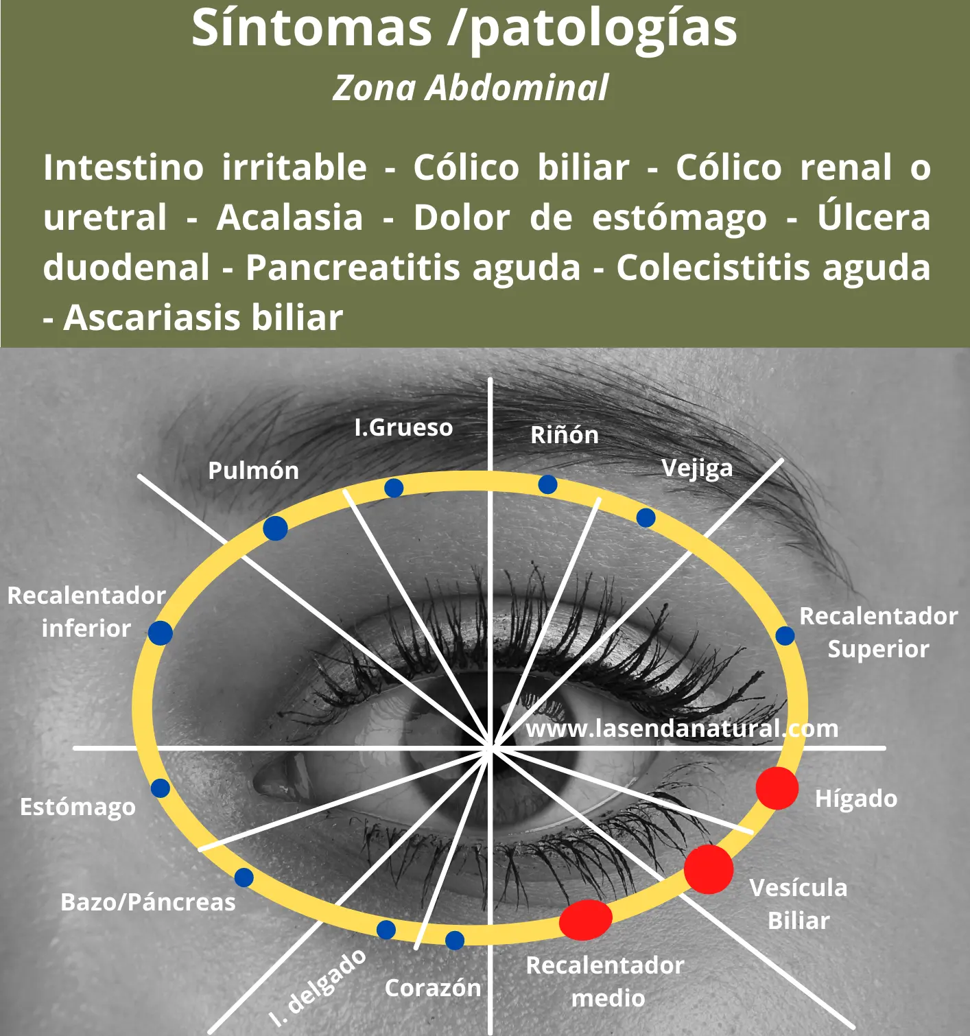 acupuntura oculara para la zona abdominal