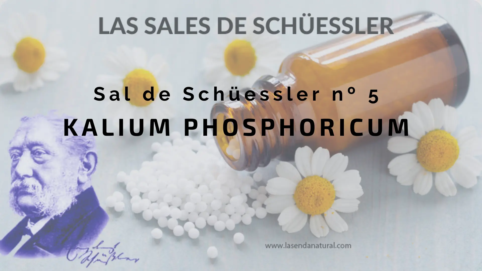 kalium phosphoricum sal nº 5