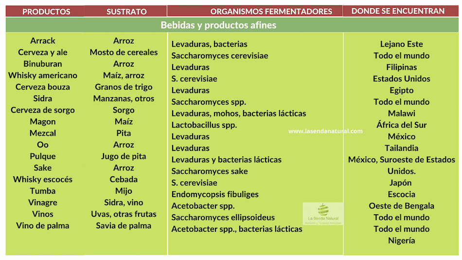 Bebidas y productos afines