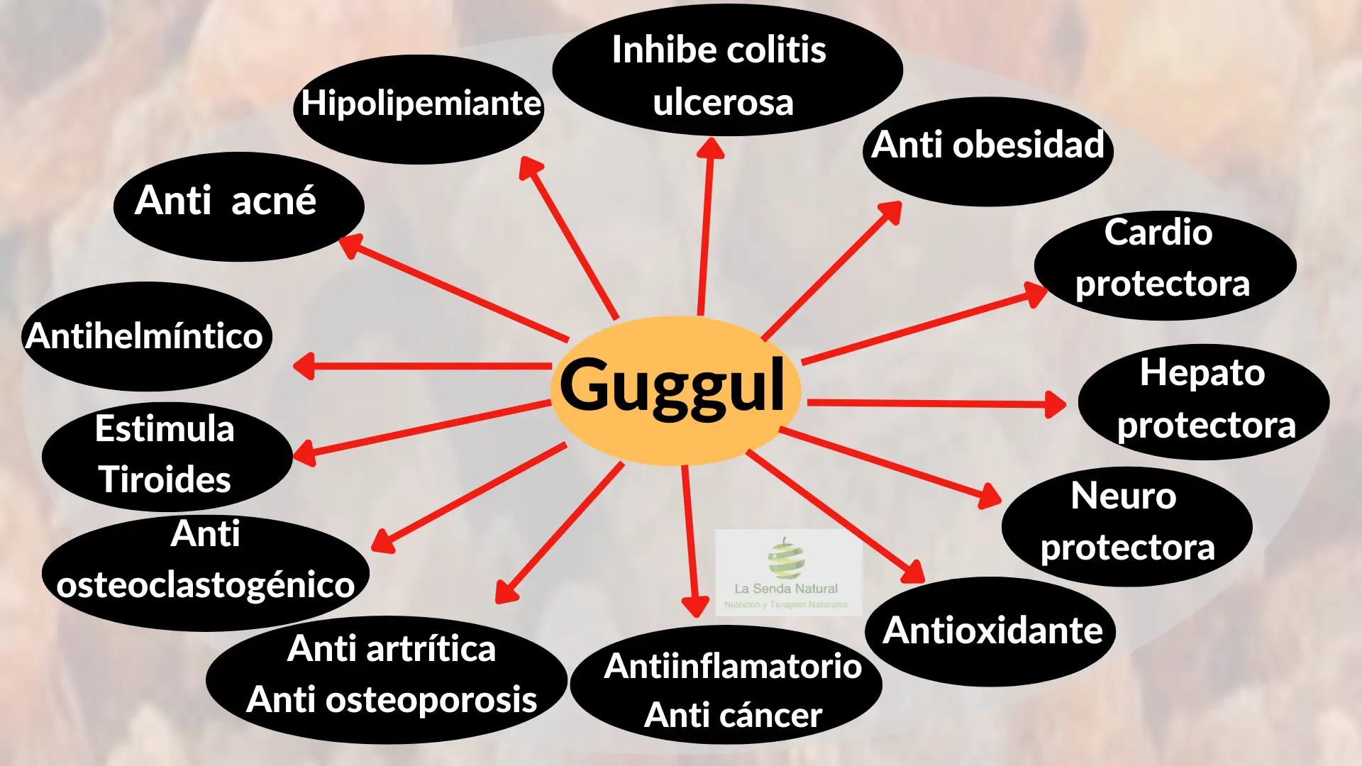 Beneficios terapéuticos del Guggul