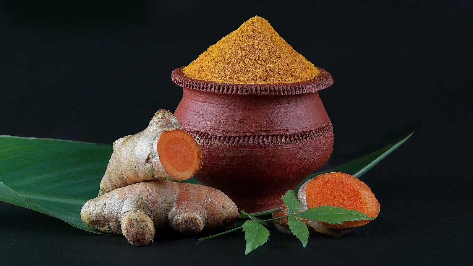 Cúrcuma longa- turmeric