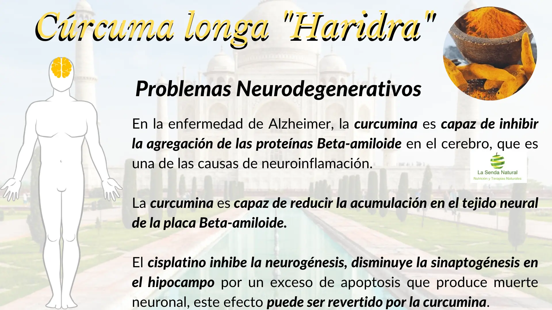 Cúrcuma y problemas neurodegenerativos