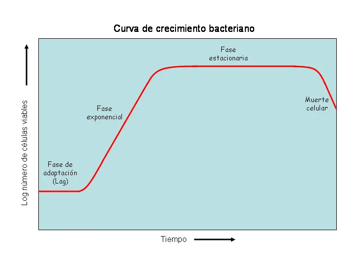 Curva_de_crecimiento