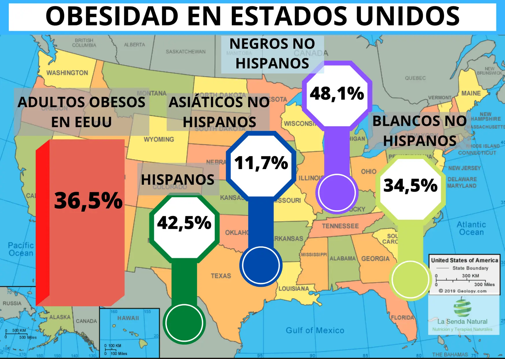 Obesidad en EEUU