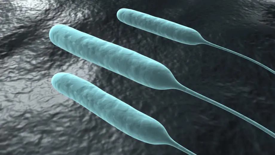 Pseudomonas y otros psicrófilos