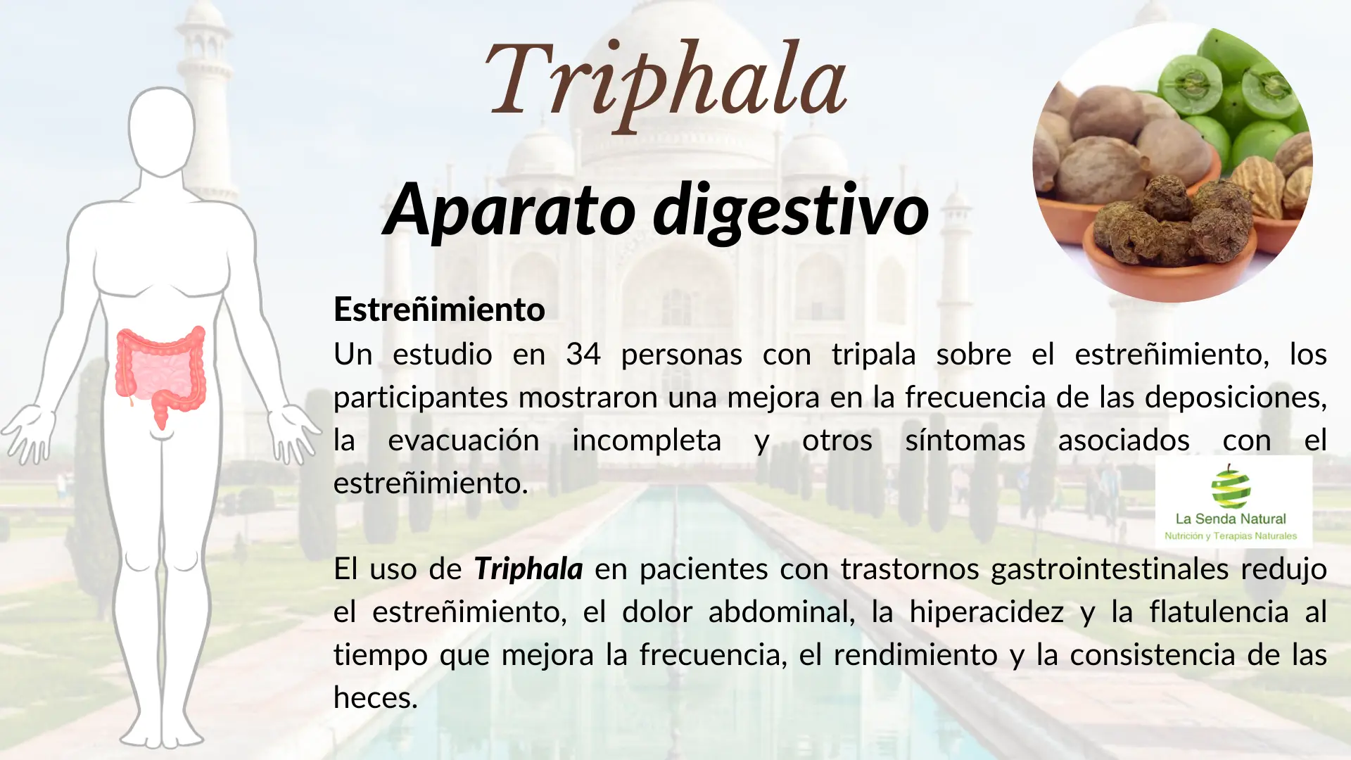 Triphala y aparato digestivo