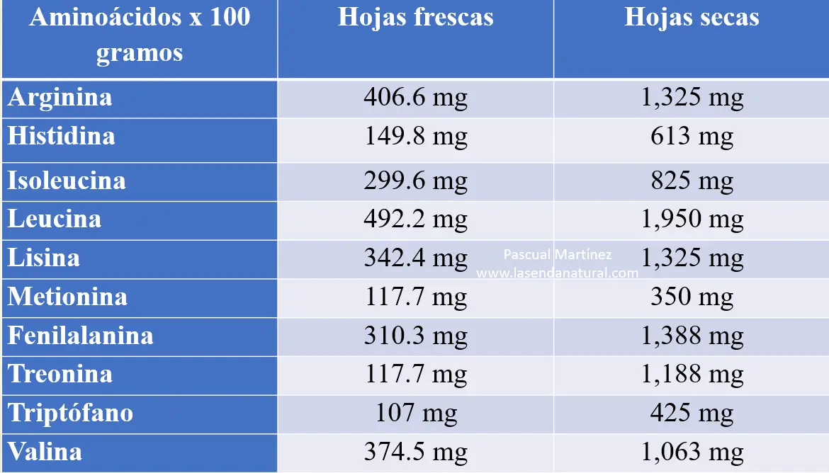 aminoácidos moringa