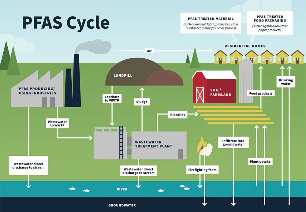 ciclo del PFAS