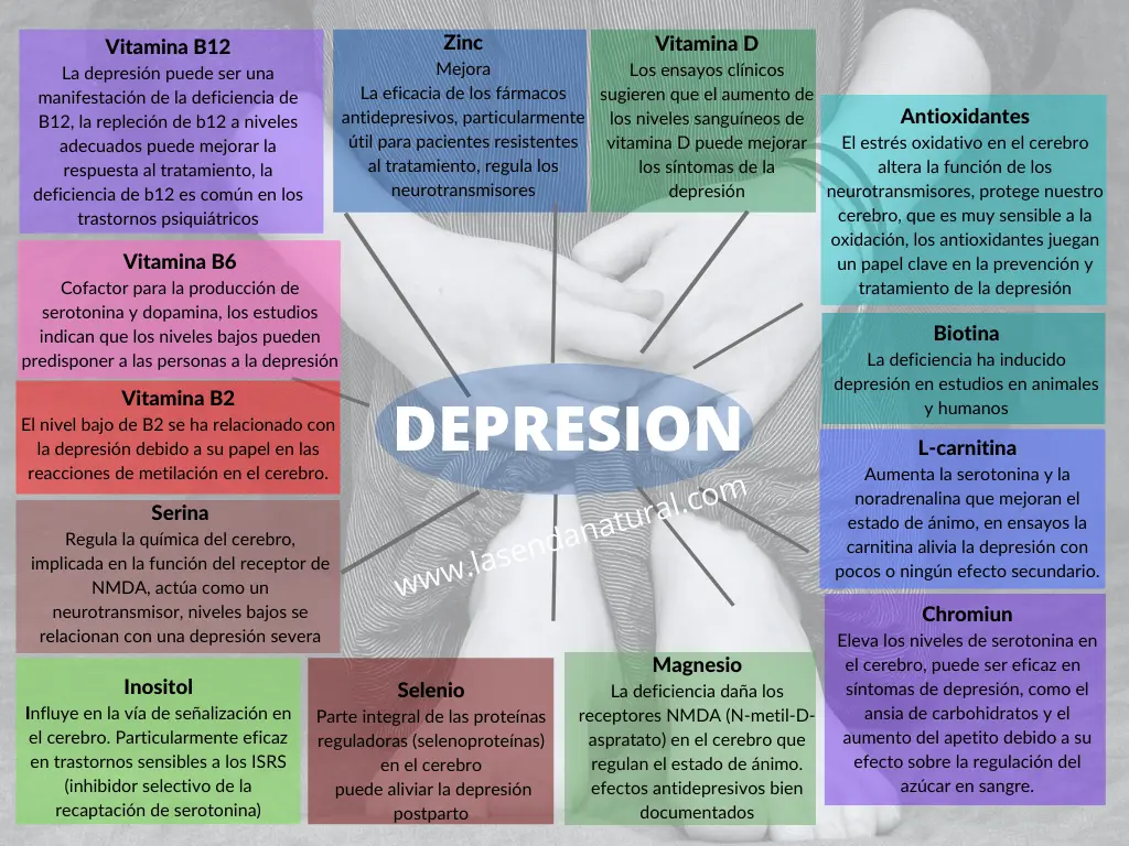 depresión y nutrientes