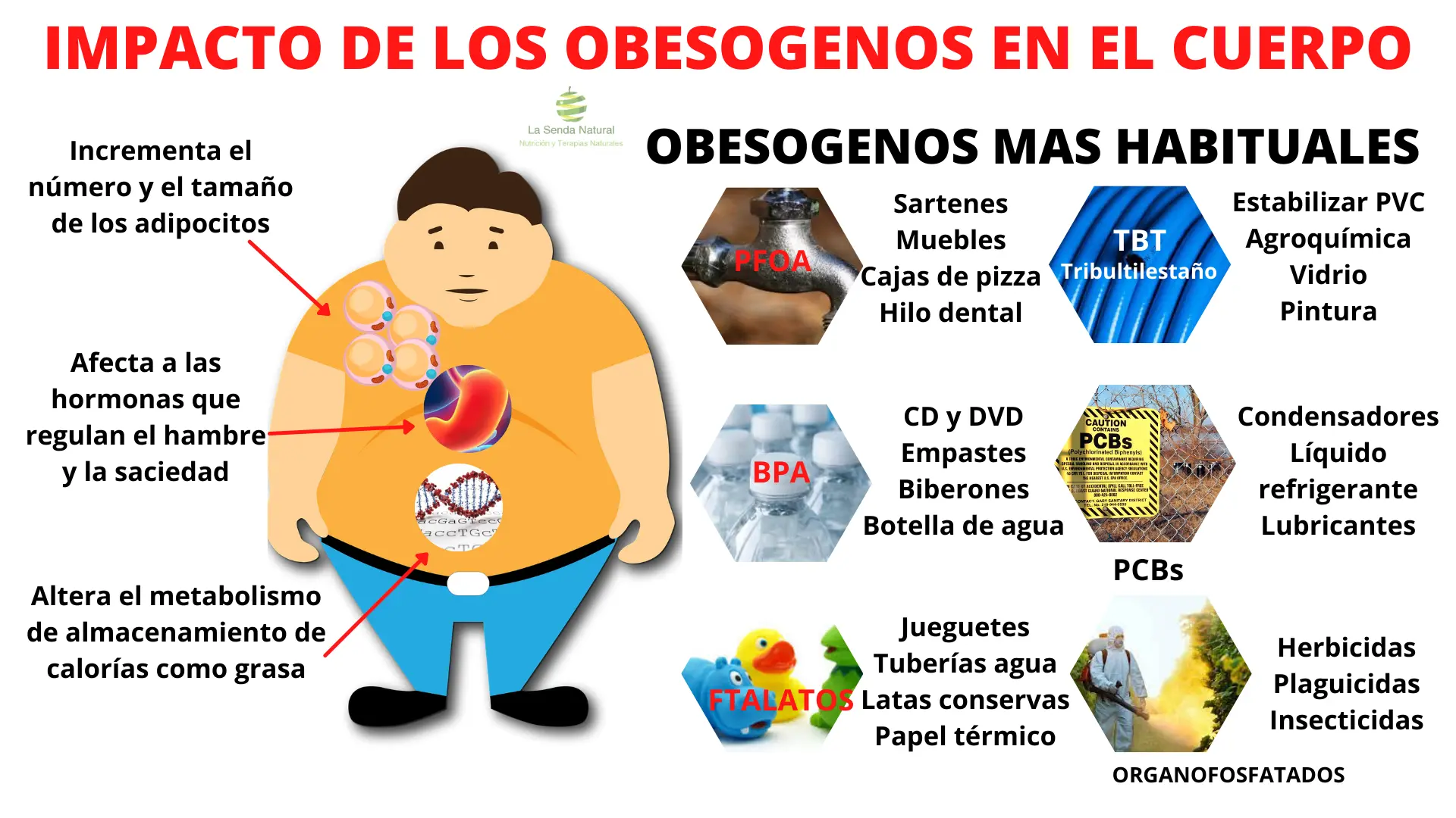 Obesógenos-2