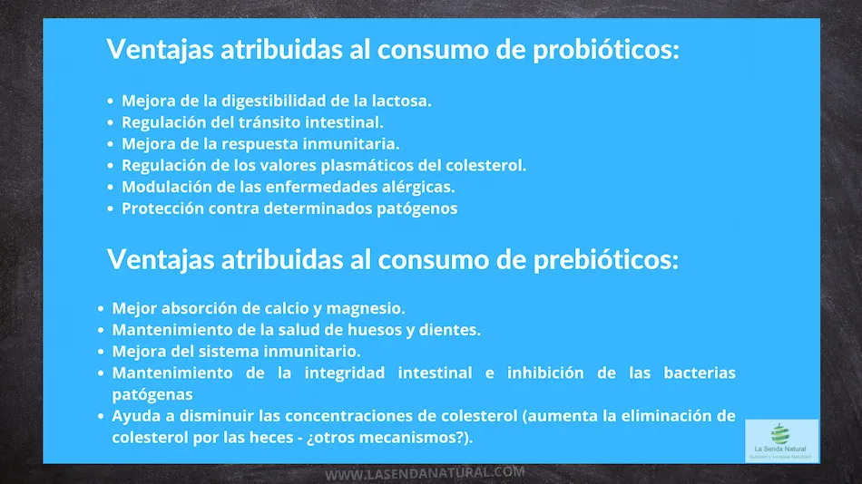 ventajas de los probióticos