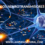 Los Neurotransmisores