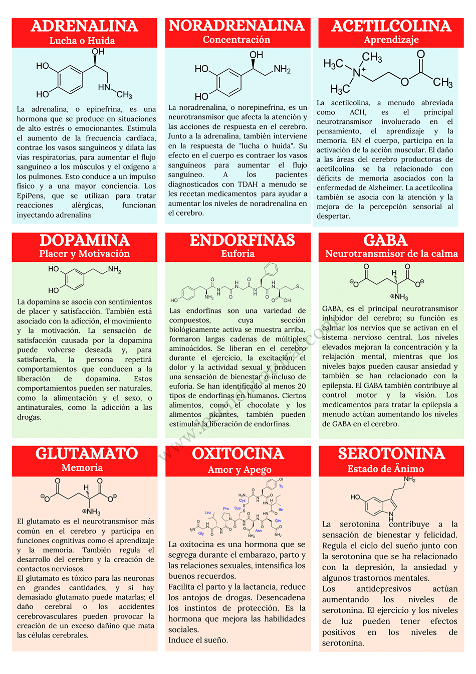 Neurotransmisores y sus efectos 