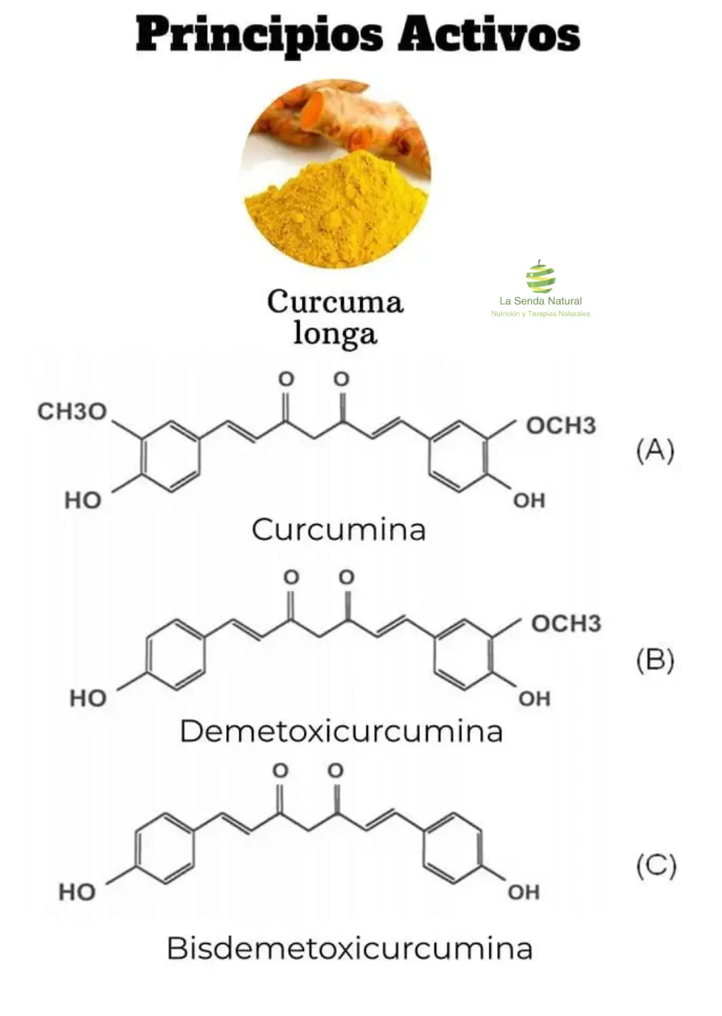 Principios activos de la cúrcuma