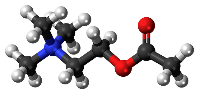 acetilcolina