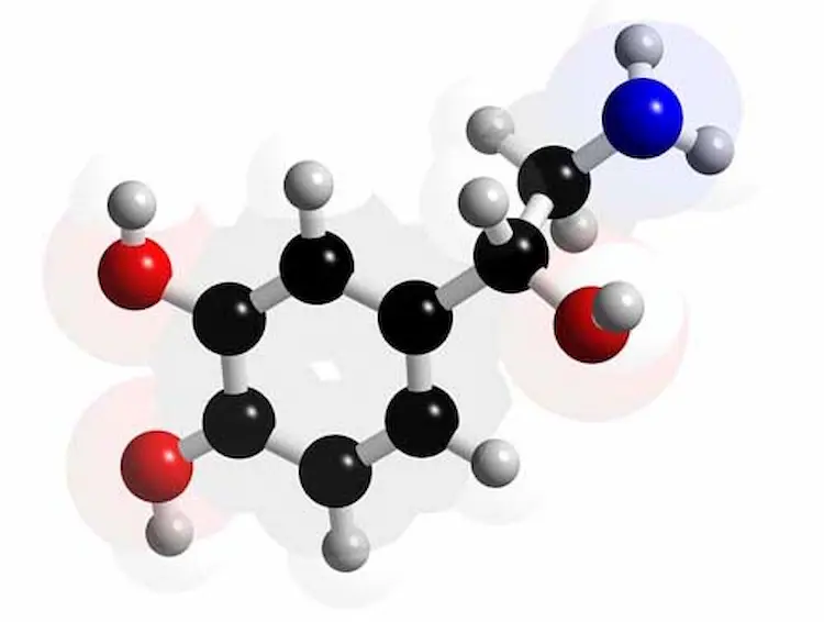 noradrenalina