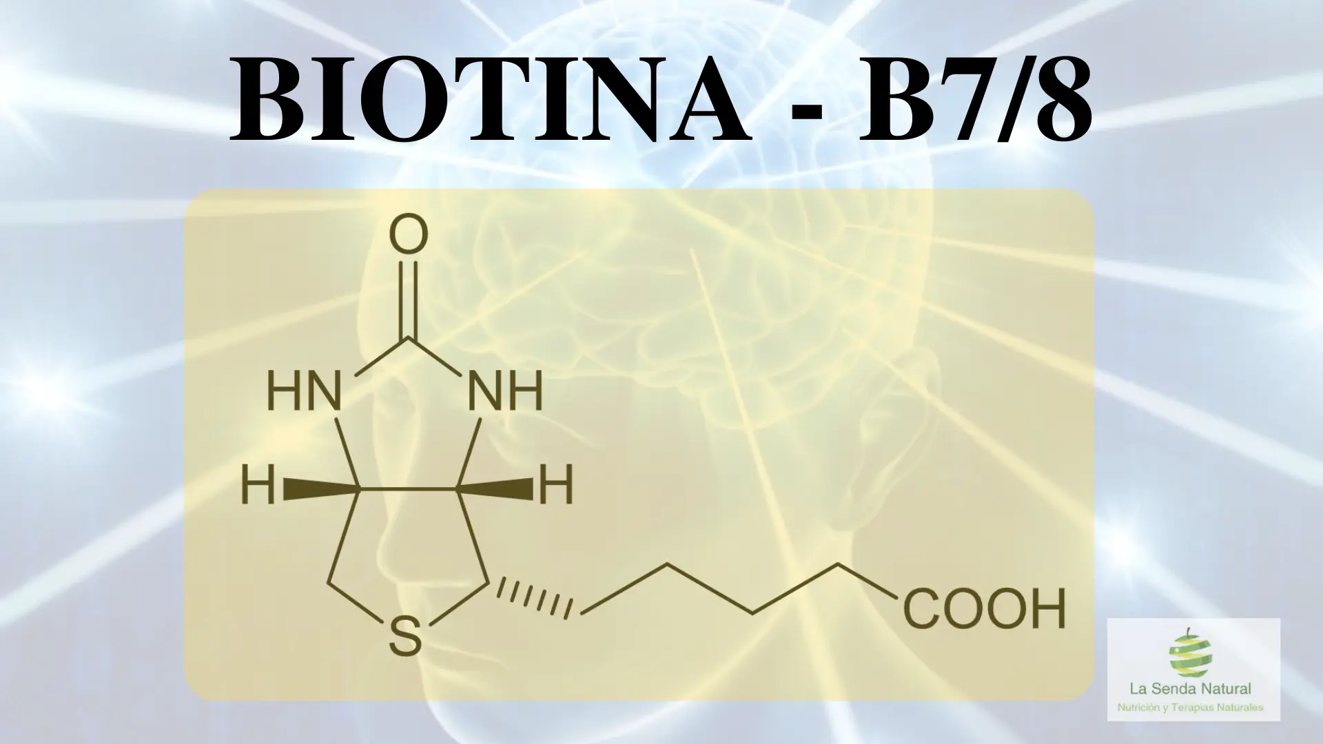 Qué es la biotina