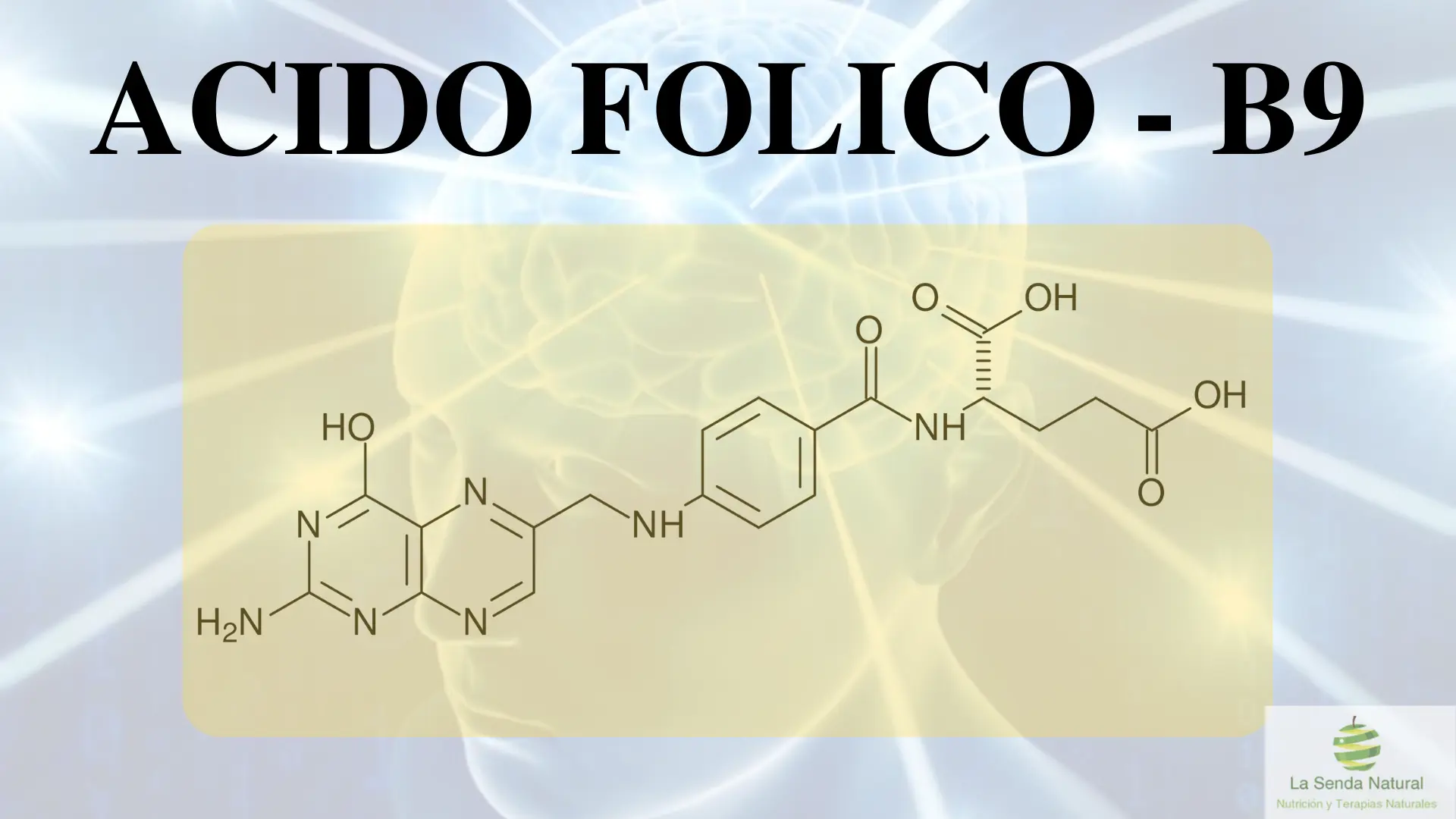 Qué es el ácido fólico la vitamina B9