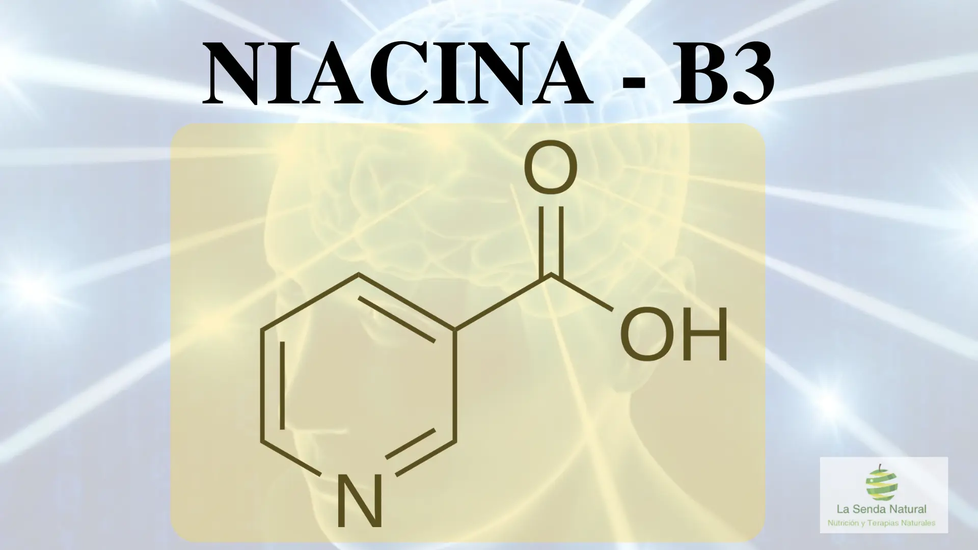 Qué es la vitamina B3