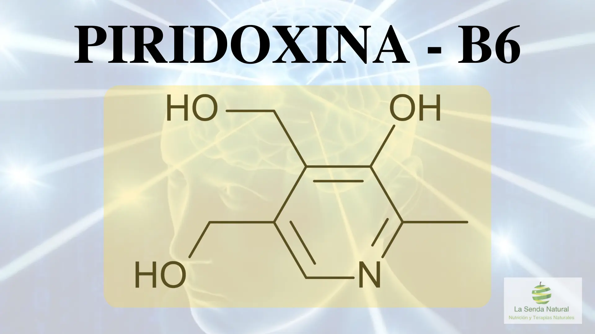 qué es la piridoxina