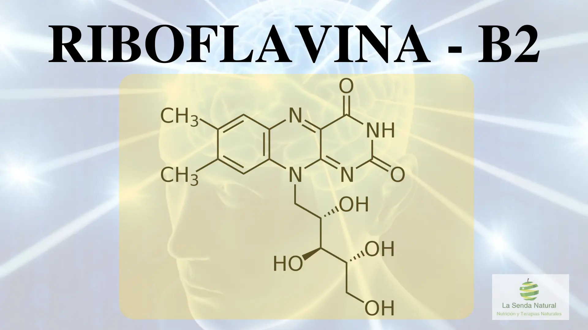 Qué es la riboflavina